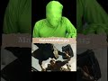 Mr Green Find Vfx The Movie Tiger 3 Vfxedinting Fbreels Trendingreels Mrgreen Vfx Cgi