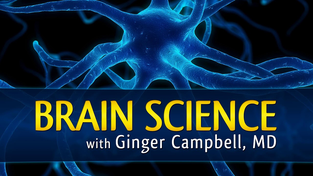 BS 167 Stanislas Dehaene explores "How We Learn"