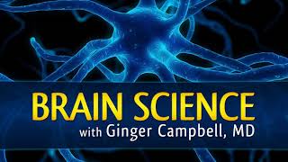 BS 167 Stanislas Dehaene explores "How We Learn"