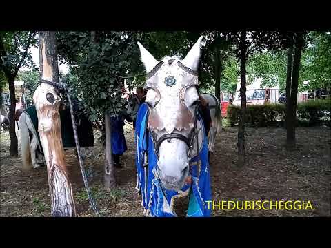 I CAVALLI DELLA RIEVOCAZIONE STORICA DEL 1380 A SALUZZO (CN) DOM. 8- 9 - 2019)