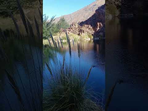 Paseando por la laguna en Malargüe!!#turismo #viajar #naturaleza #mendoza #malargüe