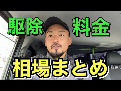 コウモリの「チップバッグ効果」