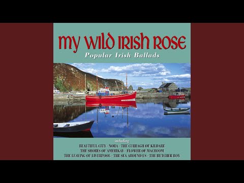 Old Maid in a Garret