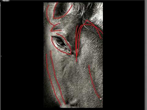 The Daily Critique (7/24/09) TMELive.com