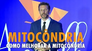 Mitocôndria: Como ter a Mitocôndria mais eficiente
