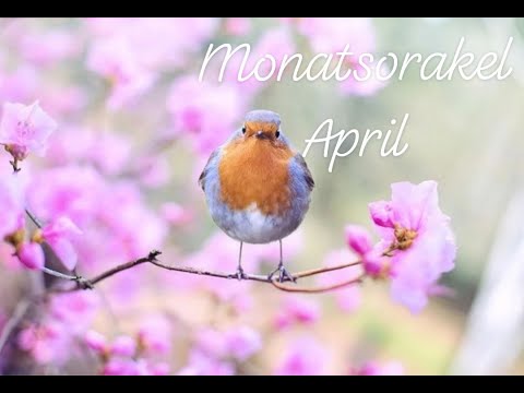 Orakel für den April 2020