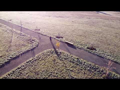 Test Dronelink: Focus