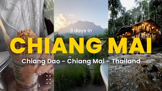 Thailand VLOG | Chiang Mai | Chiang Dao, Cafe Hopping, Local Food, Hotel