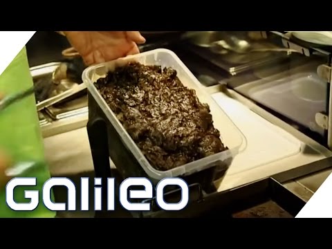Jumbo tests the most unusual late-night snacks | Galileo | ProSieben