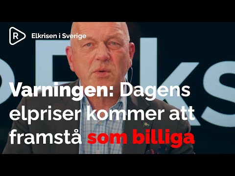 Elkrisen: El kan behöva frånkopplas i vinter | "Dagens elpriser kommer att framstå som billiga"