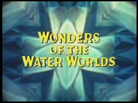 S07E29 - Wonders of the Water World (May 21, 1961)