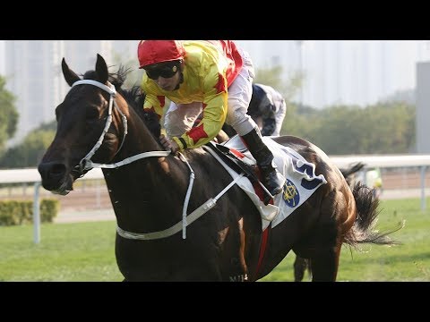 2010/11 (263) - California Choice (加州財子) - 蔡明紹 (升班依然輕取對手2戰2勝)