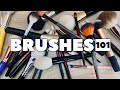 BRUSHES 101: Answering Your Questions BRUSHES 101: Answering Your Questions