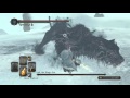 Dark Souls 2 - Lud and Zallen, the King's pet (two tigers fight)