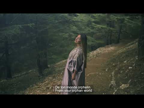 CEDRUS LIBANI - Pascale Ojeil