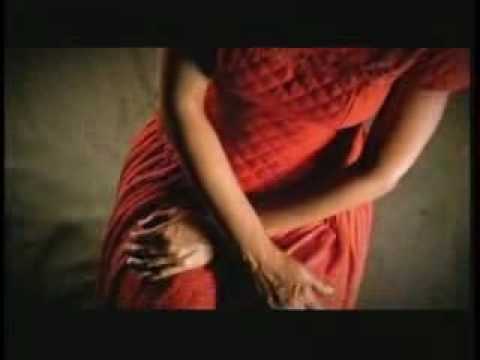 A Volta Da Xanduzinha video
