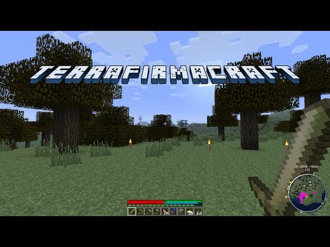TerraFirmaCraft - Episode 26 - A real house
