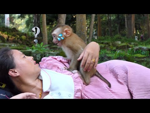 What's happen on you Apollo? Apollo sleeping on mom KT immediately crying loudly why