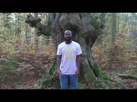 Ad Astra -  Paradies (prod. by CuttingDiamonds)