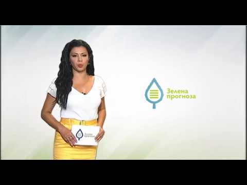 Zelena prognoza, 11.5.2017. - O prisustvu štetnih sovica u usevima paprike