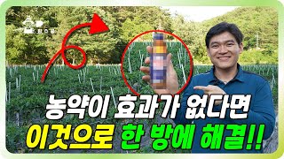탄저병을 방제하는 체계적인 매뉴얼을 알려드립니다! ㅣ탄저병 예방 ㅣ탄저병 방제