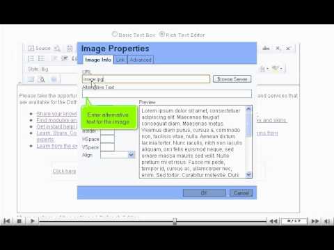 How to work with images in DotNetNuke - DotNetNuke Tutorials