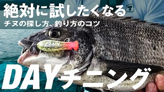 【デイチニング】楽しさが絶対に伝わるチニングのコツ！チヌの釣り方、探し方（トップ＆ボトム）/ 一宮安幸