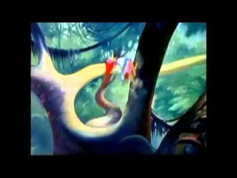 Aracuan Rules (Loop | Disney's The Three Caballeros)
