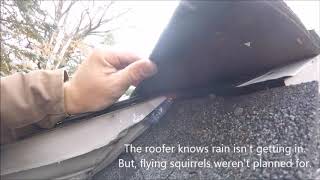 Finding Flying Squirrel Entries