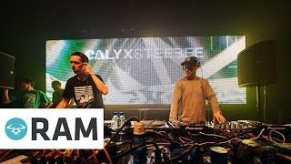 Calyx &amp; TeeBee - Skank