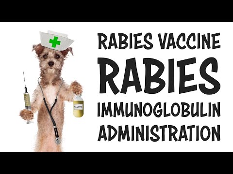 300IU Berirab P Human Rabies Immunoglobulin Injection PFS 2ml