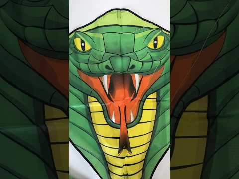 Best Kite Ever!!! 🌟