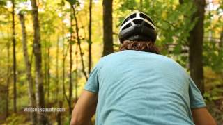 Visit Cook County Fall Leaves