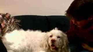 Andy Milonakis Show - The Dog