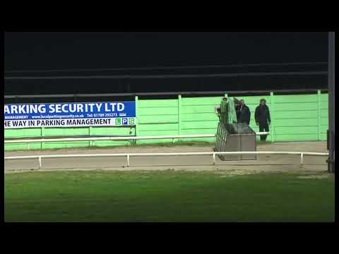 Signet Goofy - BGBF British Bred Midlands Sprint Trophy Final