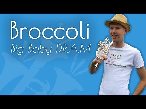 Big Baby D.R.A.M. - Broccoli (TMO Cover)