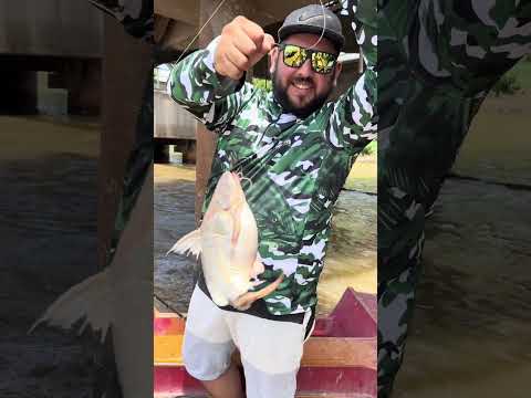 Pescon… Una ves más linda pesca en puerto San Martín…