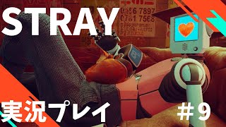 【Stray】へっぽこ迷い猫オーバーラン！　#9