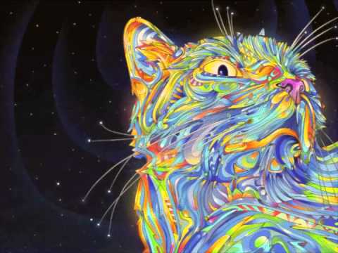 Kindzadza & Fungus Funk   Fish 'n' Chips