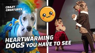 Adorable Puppies With the Weirdest Owners