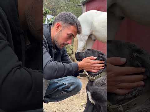 No hay que penarse detrás de los caballos! ❤️