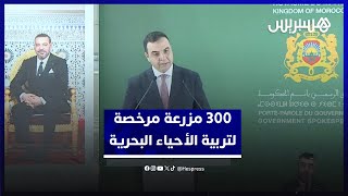 مزارع تربية الأحياء المائية البحرية بالمغرب.. بايتاس يوضح عدد التراخيص وأرقام الإنتاج وفرص الشغل thumbnail