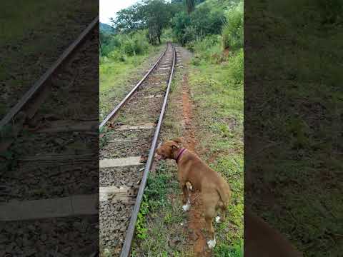 túnel T2 sentido a usina indiana Botucatu São Paulo. #caminhada