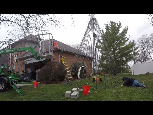 Setup: Day 3 - Outline and Megatrees