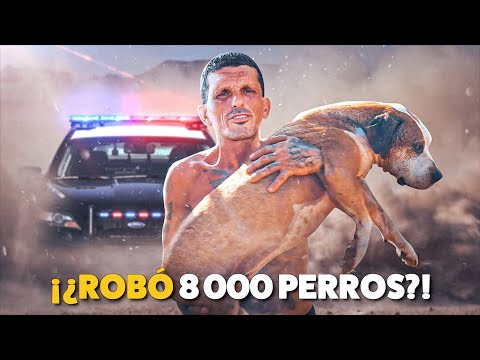 ¡¿Robó 8 000 perros?!