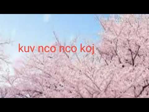 Kuv nco nco koj
