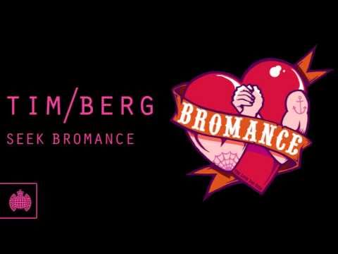 Tim Berg - 'Seek Bromance' (Avicii's Vocal Edit)