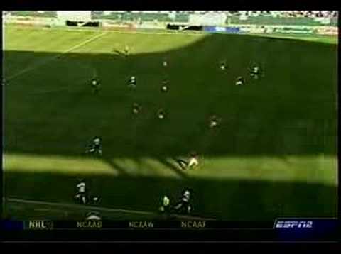 bornstein's goal denmark vs. usa