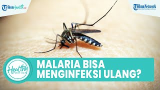 Benarkah Seorang yang Sudah Alami Penyakit Malaria Tidak Berulang Kembali? Ini Penjelasan Dokter