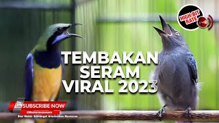 Download lagu 🔴Saling Nembak Kemewahan Cucak Cungkok Gacor Isian vs Tembakan Srigunting Abu Abu Gacor mp3 Download lagu 🔴Saling Nembak Kemewahan Cucak Cungkok Gacor Isian vs Tembakan Srigunting Abu Abu Gacor mp3